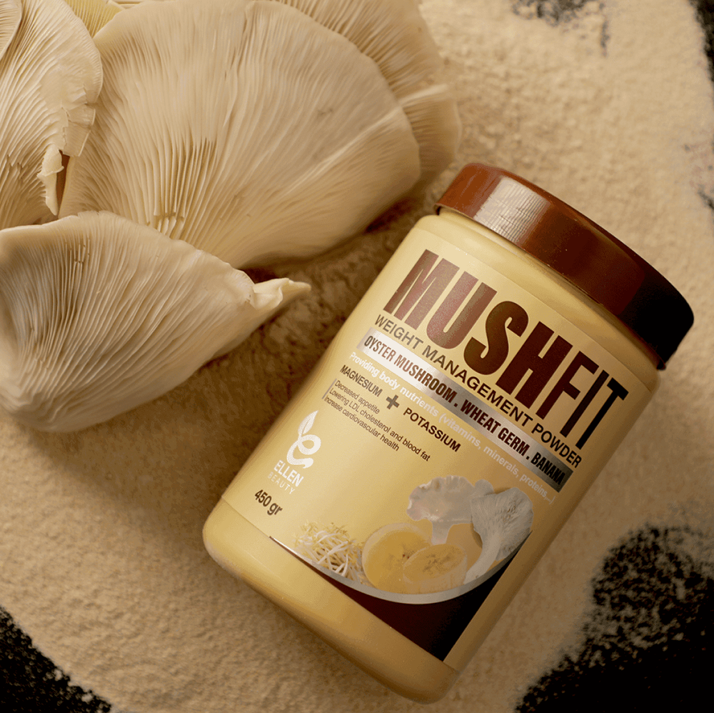 Khorshid rooftop systems